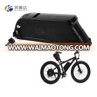 high quality electric bike batteries 48v 11.6ah dolphin battery pack